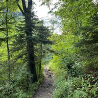 .. in leichtem Auf und Ab dahin