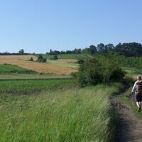 Landschaft, Dobri Do