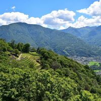 Monte Carasso - Mornera