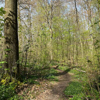 Naturnahe Wegeführung am Osterbach Naturpark Reinhardswald
