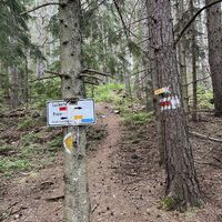 .. hier rauf auf den Haakogel - der gelb markierte Weg nach Prein ist dann der Rückweg