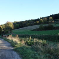 am Rückweg