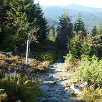 Grenzsteig hinab zum Rosenauer Denkmal