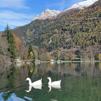 Lago di Poschiavo