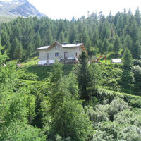 Ein Haus im Bau im Herzen des Waldes