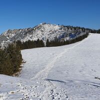 6.4 km Blick zurück auf den Unterberg-Gipfel