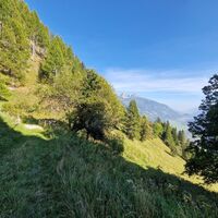 Tiefes Grün von Wiesen und Wäldern begleiten uns auf unserem Weg nach unten.