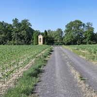 Zwischen den Feldern hindurch