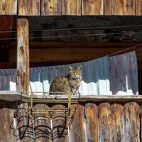Alba di Canazei ©Archivio APT Val di Fassa