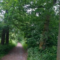 Wanderweg1_Karl-Bachler-Weg_Salzuflen_CC_BY_SA_Teutoburger_Wald_Kerstin_Paar_IMG_20220613_142720_407.jpg