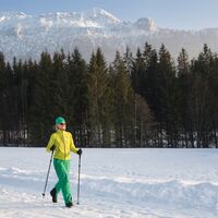 Winterwandern vor schneeweißer Kulisse