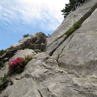 Scheffau_Widauersteig_Wilder Kaiser