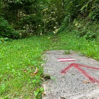 Losenstein-Hohe Dirn Trail