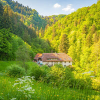 Hochmühle Harpolingen