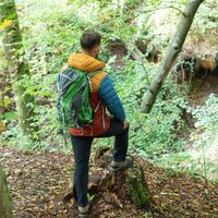Typisch für den Wanderweg "Rund um Dalem": Die tiefen Klammen