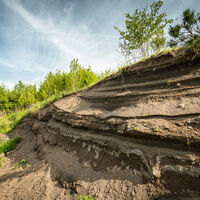 ET-2019-312-Vulcanpfad, Thron am Steffelnkopf © Eifel Tourismus GmbH, Dominik Ketz