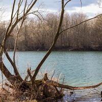 Naturseen Traismauer