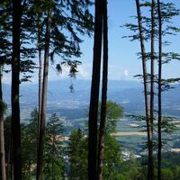 Blick auf das Lavanttal