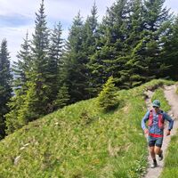 Schöne Waldpassage - Gurnigel Stockhorn Trailrun