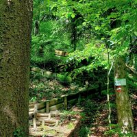 Riesn-Treppe