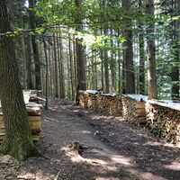 Wanderweg Richtung Gebertsham