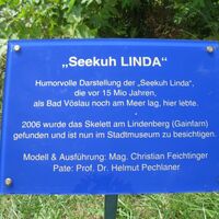 Baden - Bad Vöslau