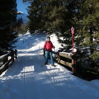 Brücke vor Aufstieg zum Gantrischli