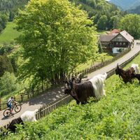 Einkehr Prieselbauer mit Streichelzoo
