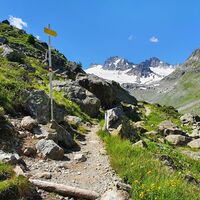 Weg zum Russkopf und Jamtalferner