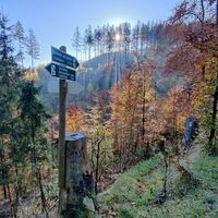 Pfad hinab zum Kandelbach