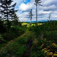Andorfer Leiten - Blick nach Norden