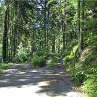 Radweg Abzweigung - Rechts halten!