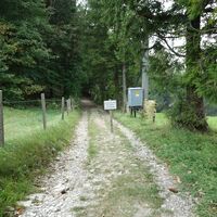 Abstieg über Staudenweg
