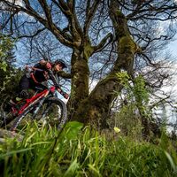Mountainbikerin vor Baum bei der Abfahrt