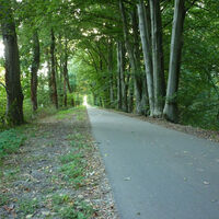 Radweg Boxteler Bahn