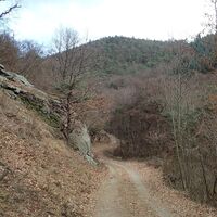 am Wachauer Höhenweg