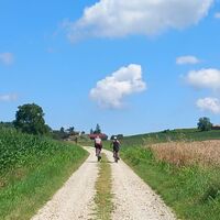 Die Landschaft um Chieri (TO)
