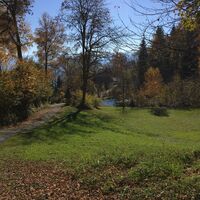 Zurück in Hinterwachsenberg