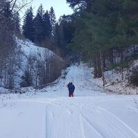 Start des Hohlweges durch den Graben