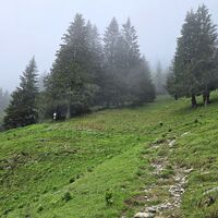 Wegeteilung