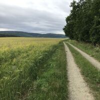 Richtung Giebelwald