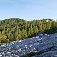 schöne Strukturen die hier im Kalk entstanden sind