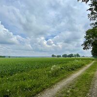 Blick auf die Felder bei Medingen