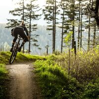 Green Trails Willingen Grosse Grube.jpg