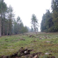 Abstieg vom Gipfel Monte Roen