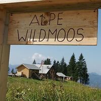 Wildmoos