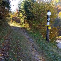 Einstieg nach der Forstverwaltung