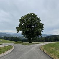 Hier links weiter