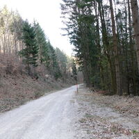 am Rückweg im Salygraben