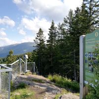 Station - Berensteinerofen und unscheinbare Überlebenskünstler
